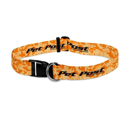Dog Collar Sublimated