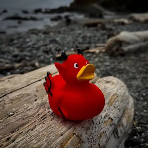Devil Duck