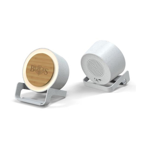 EchoPower Bluetooth Speaker With 15W Wireless Charger And Mo