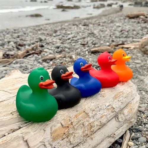 Rubber Duck