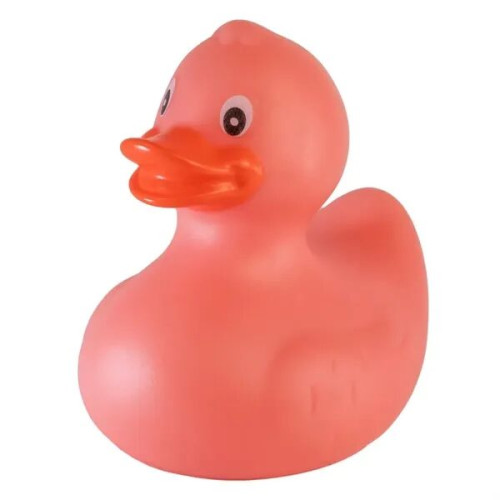 Rubber Duck