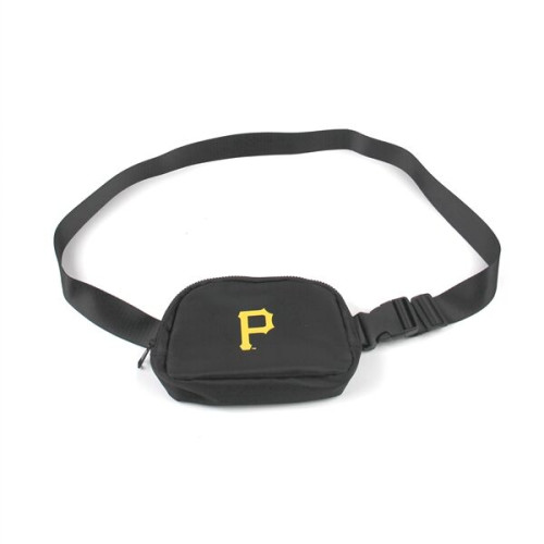 Everywhere Belt Bag / Fanny Pack