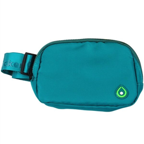 Everywhere Belt Bag / Fanny Pack