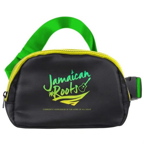 Everywhere Belt Bag / Fanny Pack