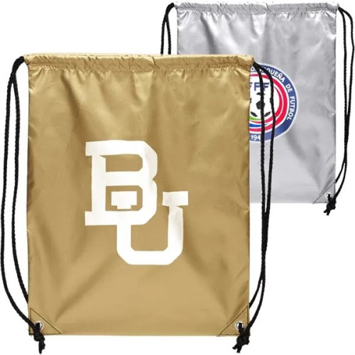 Shiny Drawstring Elegant Backpacks (14" x 16")