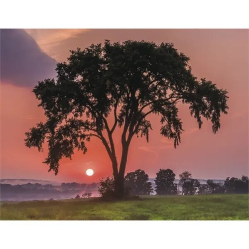 Triumph® Calendars New England Calendar