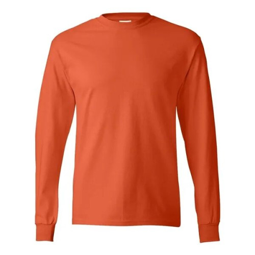 Hanes Authentic Long Sleeve T-Shirt