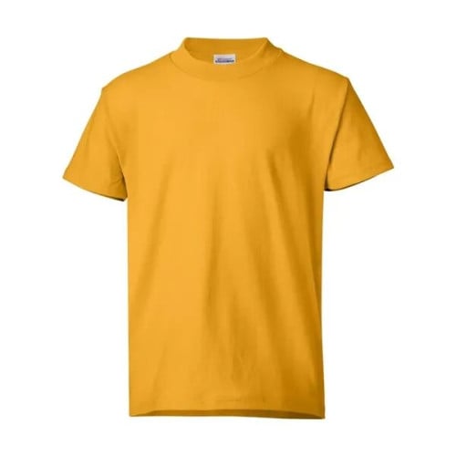 Hanes Authentic Long Sleeve T-Shirt