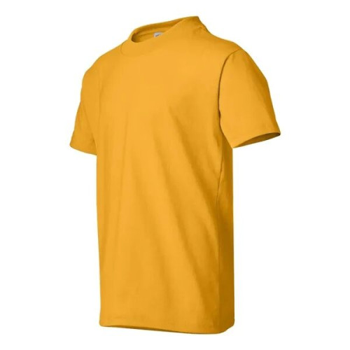 Hanes Authentic Long Sleeve T-Shirt