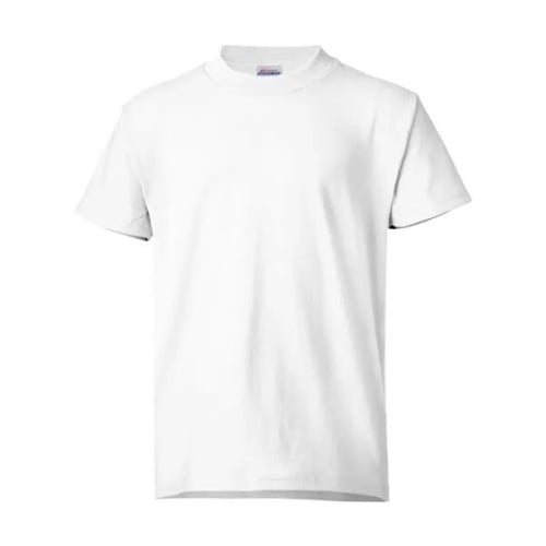 Hanes Authentic Long Sleeve T-Shirt