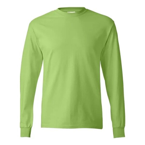 Hanes Authentic Long Sleeve T-Shirt