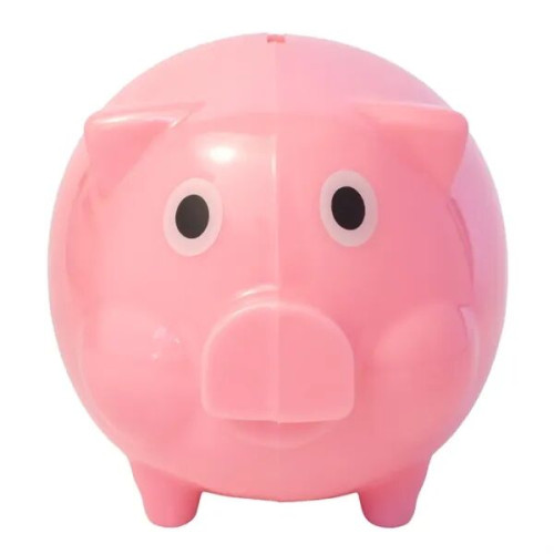Pig Coin Bank