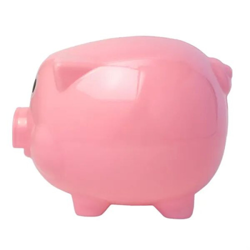 Pig Coin Bank