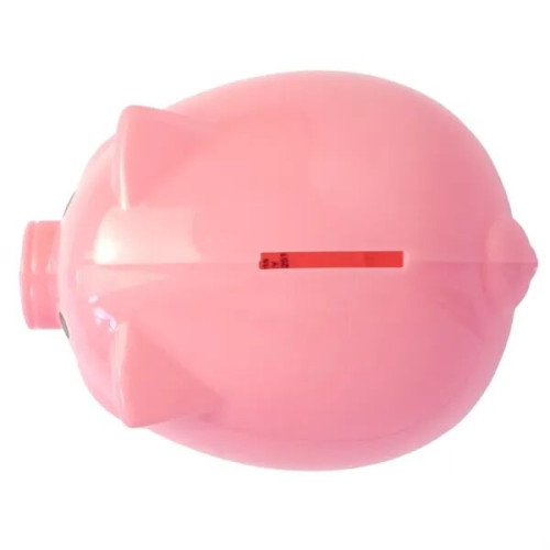 Pig Coin Bank