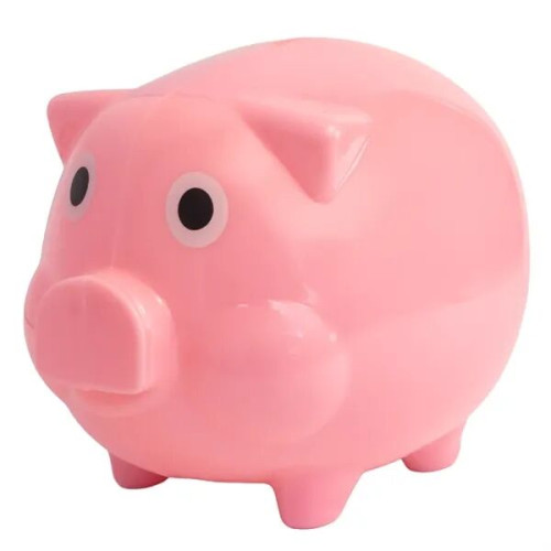 Pig Coin Bank