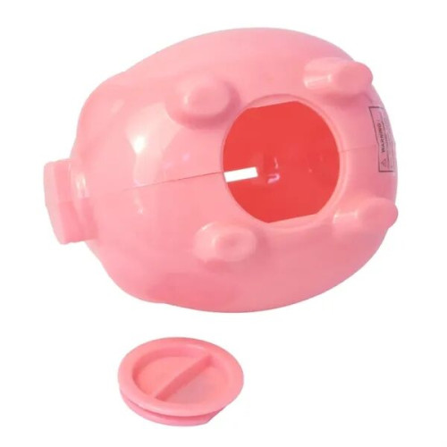 Pig Coin Bank