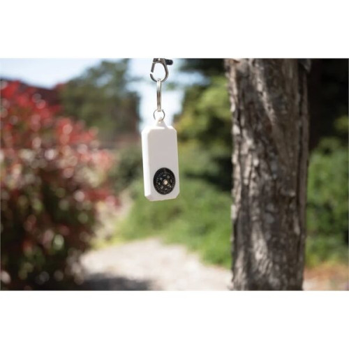 Compass Keyring