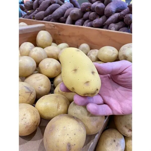 Potato Stress Reliever