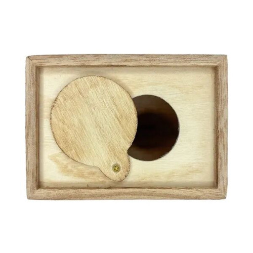 Wood Coin Bank