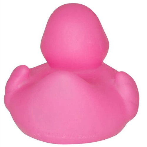 Lil' Rubber Duck