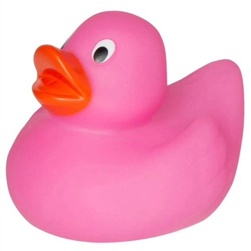 Lil' Rubber Duck