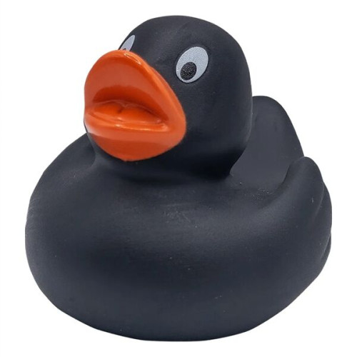 Lil' Rubber Duck