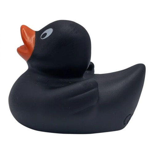 Lil' Rubber Duck