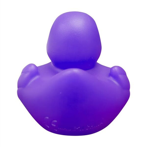 Lil' Rubber Duck