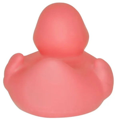 Lil' Rubber Duck