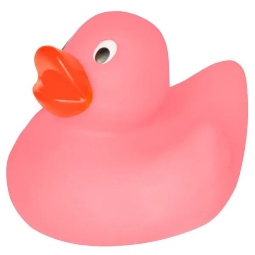 Lil' Rubber Duck