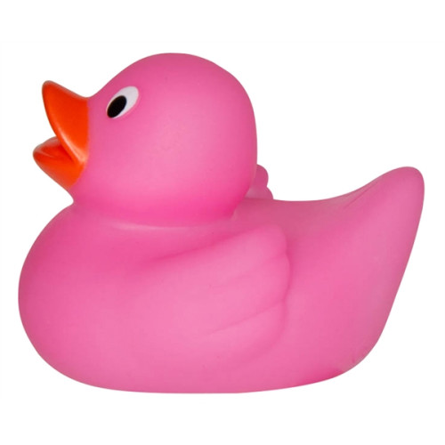 Lil' Rubber Duck