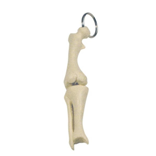 Knee Joint Bone Keyring