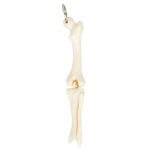 Knee Joint Bone Keyring