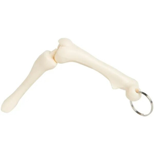 Knee Joint Bone Keyring