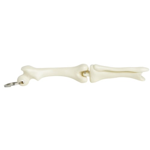 Knee Joint Bone Keyring