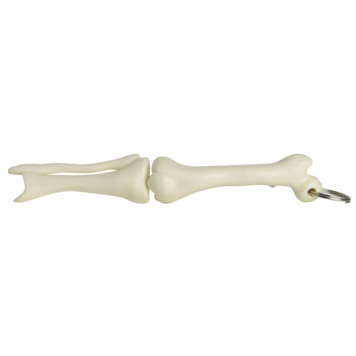 Knee Joint Bone Keyring