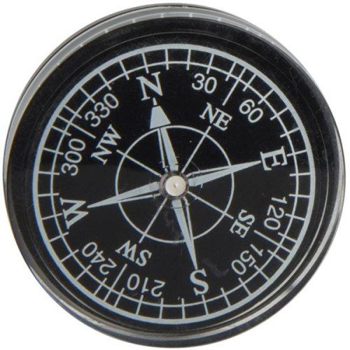 Small Resin Compass