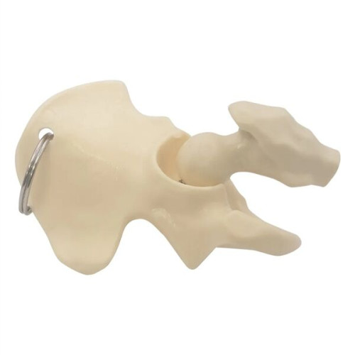 Hip Bone Keyring