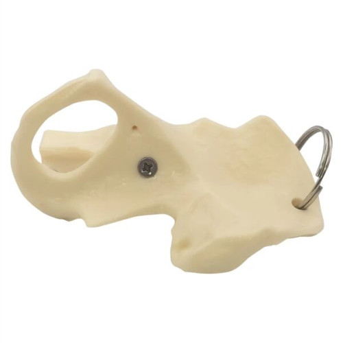 Hip Bone Keyring