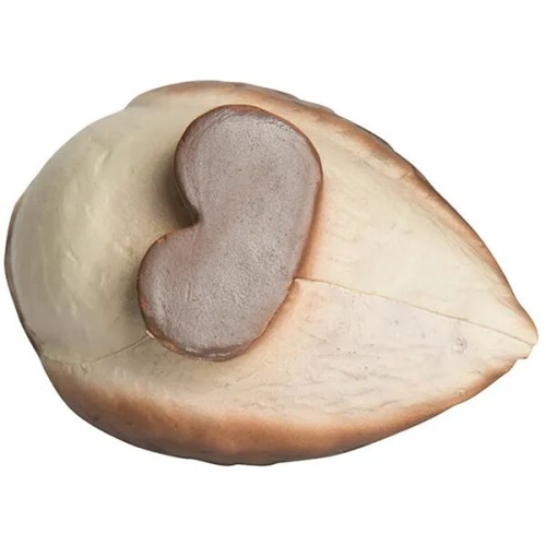 Horned Owl Stress Reliever