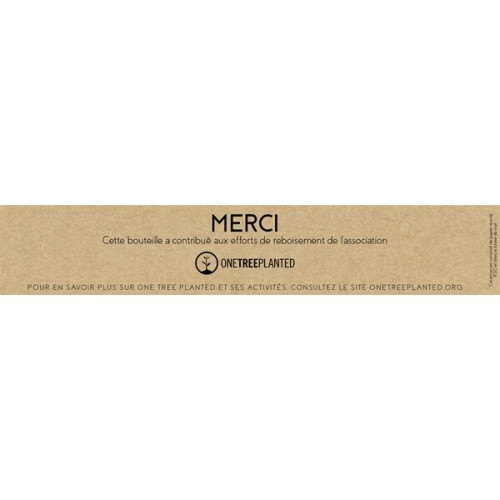 TREND SETTER NATURAL   600 ML / 20 OZ STAINLESS STEEL BOTTLE