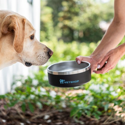 40 Oz. Stainless Steel Pet Bowl