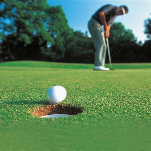 Victorinox® VICTORINOX GOLF TOOL