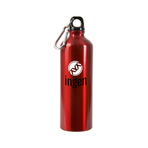 25oz Aluminum Alpine Bottle
