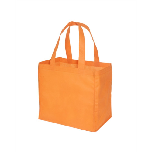 Econo Enviro-Shopper