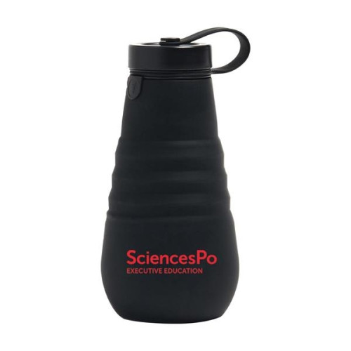 Stojo 20 oz. Collapsible Bottle