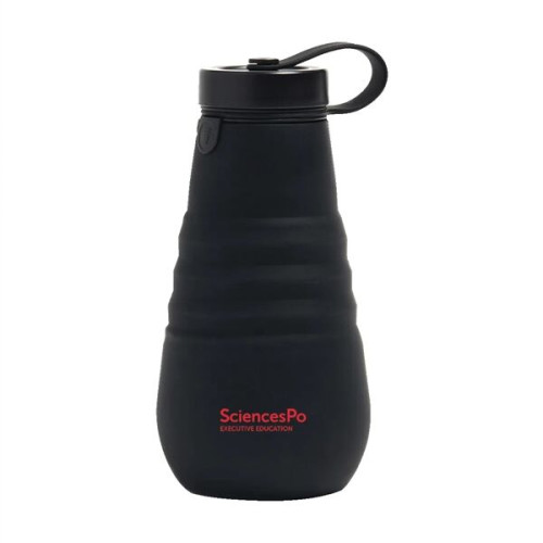 Stojo 20 oz. Collapsible Bottle