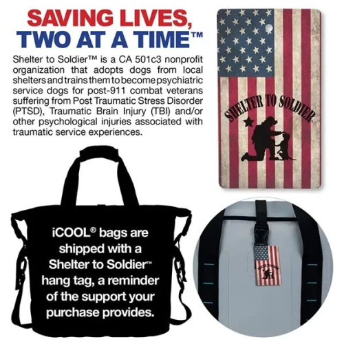 iCOOL® Cape Town 20-Can Capacity Backpack Cooler Chair