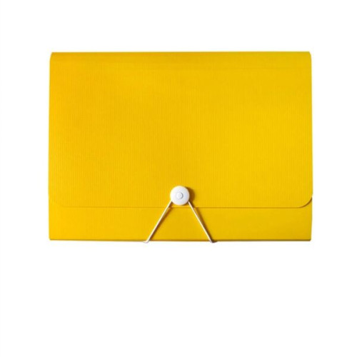 Accordian File Folder