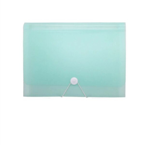 Accordian File Folder